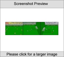 Super Web Soccer Screenshot